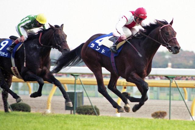 【追憶のジャパンC】95年ランド自慢の末脚さく裂　「東京の馬場と芝はきっと合う」鞍上ロバーツ出走進言