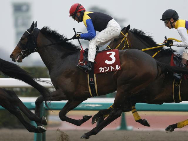 アルゼンチン共和国杯最新情報 出世レースを制しスターダムへのし上がるのは 競馬まとめ Netkeiba Com