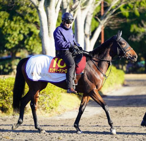 阪神ジュベナイルフィリーズ(G1)枠順】ラヴェルは8枠18番