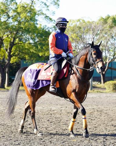 【阪神JF】(5)モリアーナ　初の長距離輸送もOK、武藤師「荒れた馬場もこなせるはず」