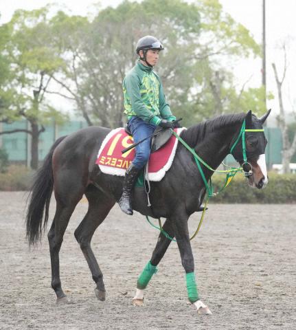 【阪神JF】(6)ミスヨコハマ　陣営は3枠6番歓迎「出たなりで競馬ができそう」