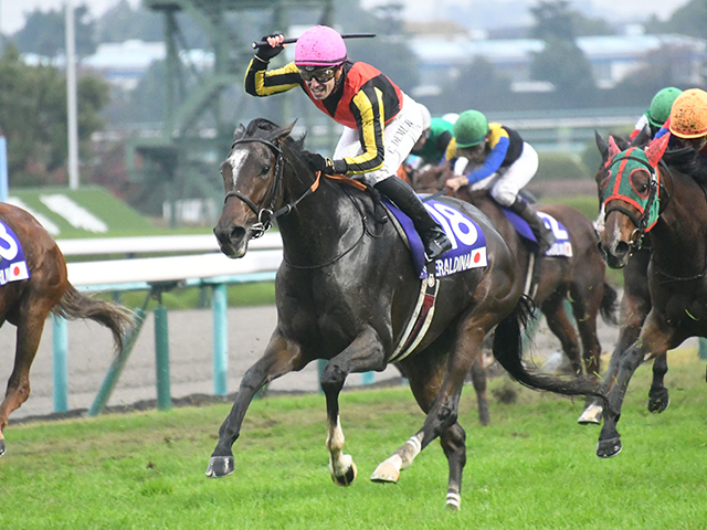 有馬記念・出走馬紹介】G1馬7頭の豪華メンバーが参戦する有馬記念の 