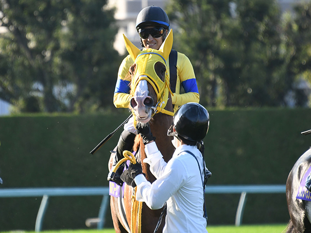 【ボルドグフーシュ 】福永騎手ラスト有馬記念のパートナー 末脚自慢のボルドグフーシュ 