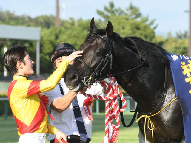 【ジャスティンパレス】今秋本格化の3歳馬ジャスティンパレス グランプリタイトル獲得なるか