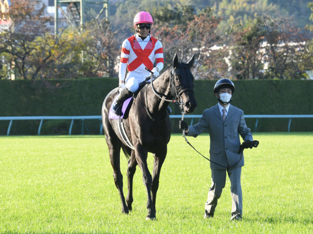 有馬記念・出走馬紹介】G1馬7頭の豪華メンバーが参戦する有馬