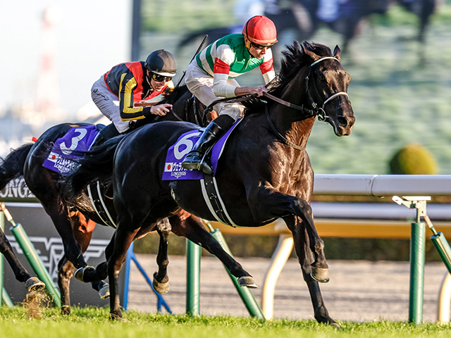 【ヴェラアズール】芝転向後に強さ見せるヴェラアズール、2つ目のGIタイトルなるか