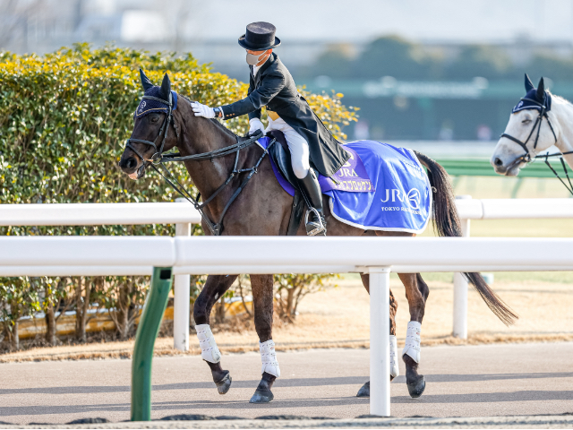 サクセスブロッケンが永眠 2009年フェブラリーSなどGI/JpnIを3勝、引退後は誘導馬として活動