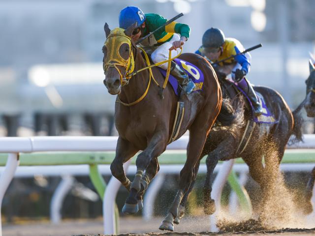 【大井・東京大賞典結果】ウシュバテソーロが圧巻の差し切り！一気3連勝でGI制覇