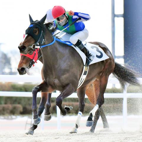 初Vお待たせしました!　ジャングルポケット斉藤の所有馬　オマタセシマシタが10戦目で初勝利