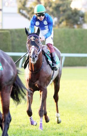 2019年京王杯2歳S、2020年アーリントンCの覇者タイセイビジョン死す　放牧先で心不全を発症