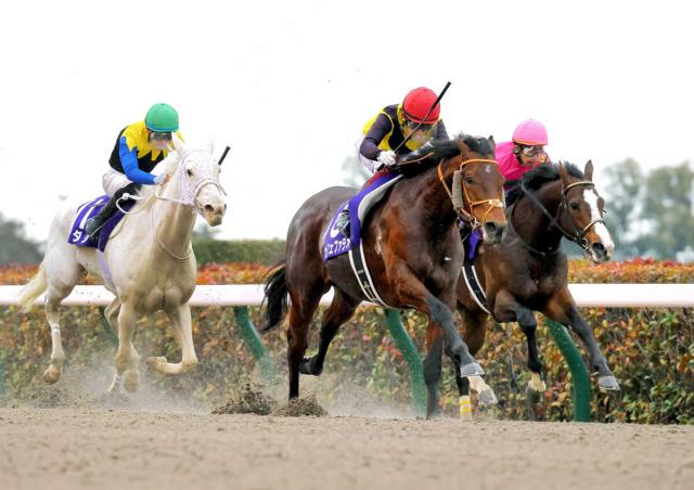 【フェブラリーS】カナダの芝G1馬シャールズスパイトの来日決定　外国馬初の参戦