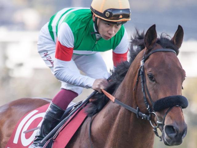 エフフォーリアが種付けシーズン中のスタッドイン 過去に同じ道たどった名馬は？