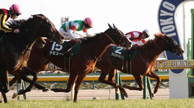 東京新聞杯Vのウインカーネリアン、ゴドルフィンマイルかマイラーズカップへ