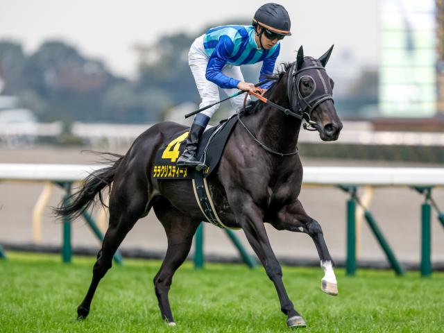 【京都牝馬S予想】スピード、瞬発力、機動力が求められる難コース