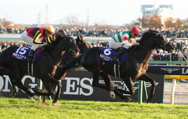 競馬 2023 ドバイワールドカップ ダウンジャケット JRA 新作グッ 9180