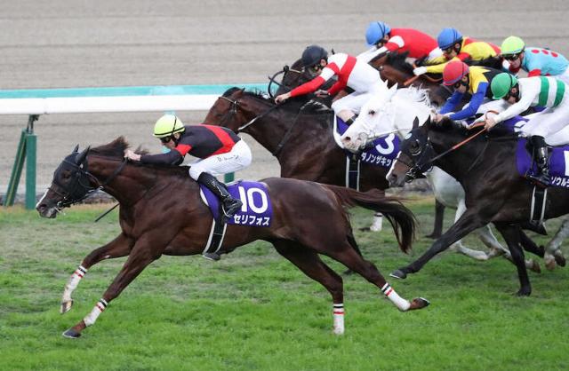 マイルCS覇者セリフォス、ドバイターフ選出　招待を受諾