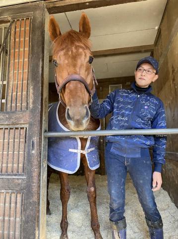レモンポップ今後はドバイゴールデンシャヒーン視野