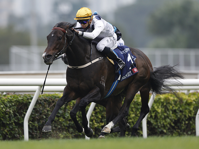 【海外競馬】香港・ゴールデンシックスティとロマンチックウォリアーが再戦 26日香港ゴールドカップ