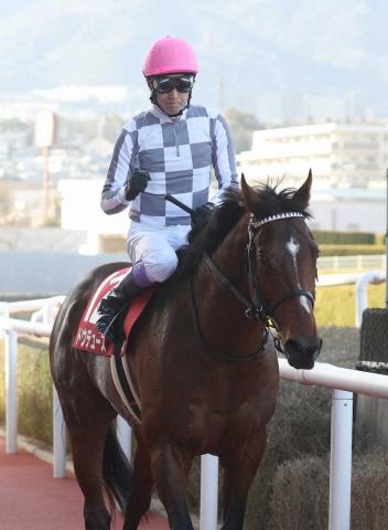25日ドバイ国際競走、日本調教馬は過去最多27頭が参戦予定