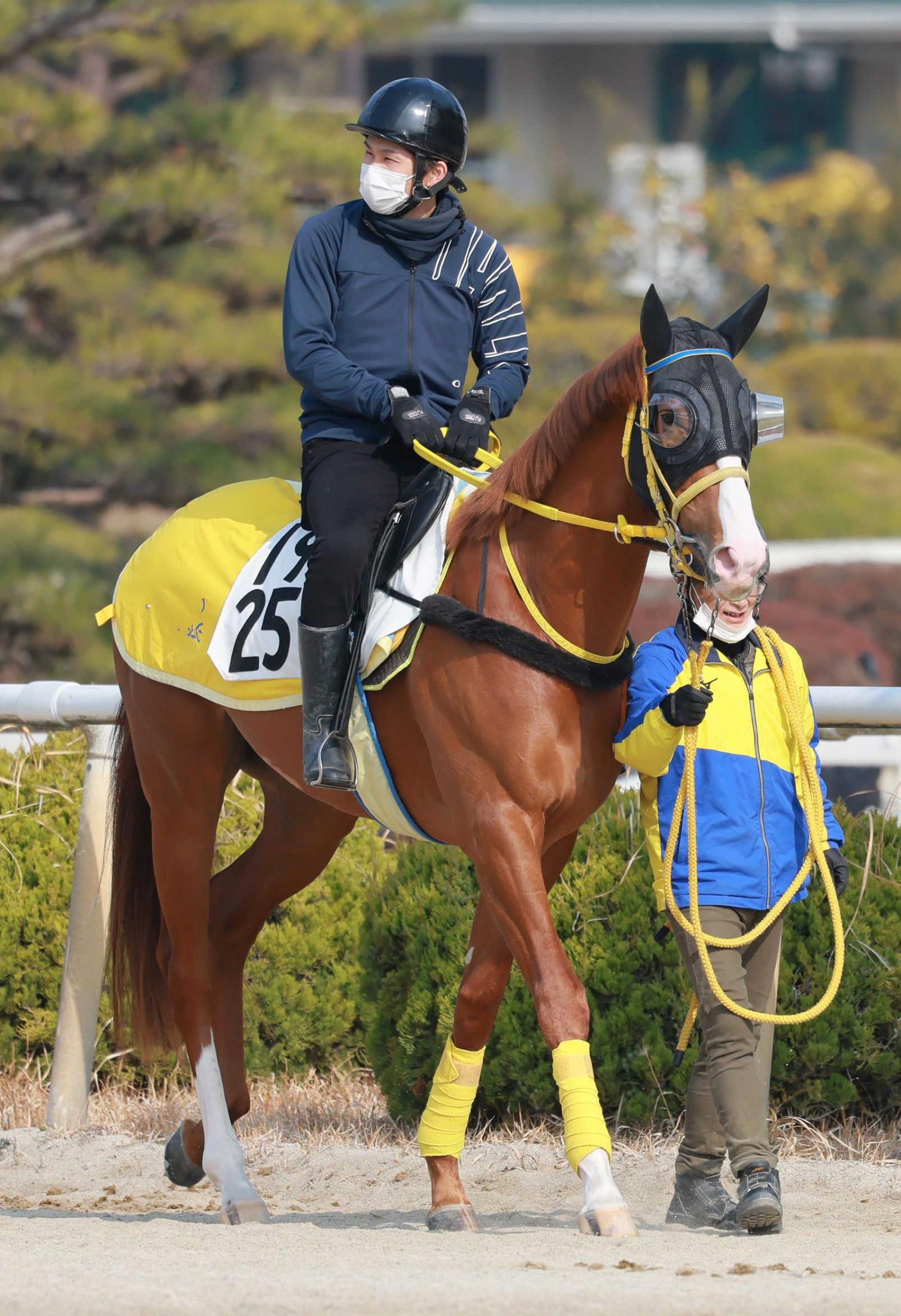 購入して無料で入手 イクイノックス 2022年有馬記念優勝記念品 出資者