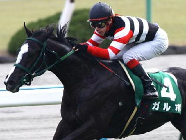 重賞4勝のガルボ死す 現役高知最強馬ガルボマンボの父
