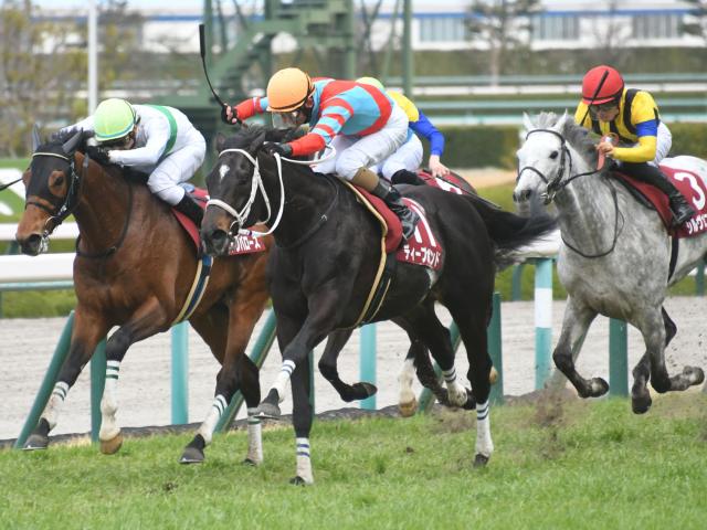 阪神大賞典予想】傾向から浮かび上がる的中のポイントは有馬記念と位置