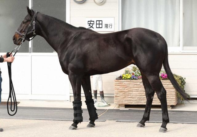 【高松宮記念】アグリ80点　顔つきには集中力も1200メートルは少し短いかも