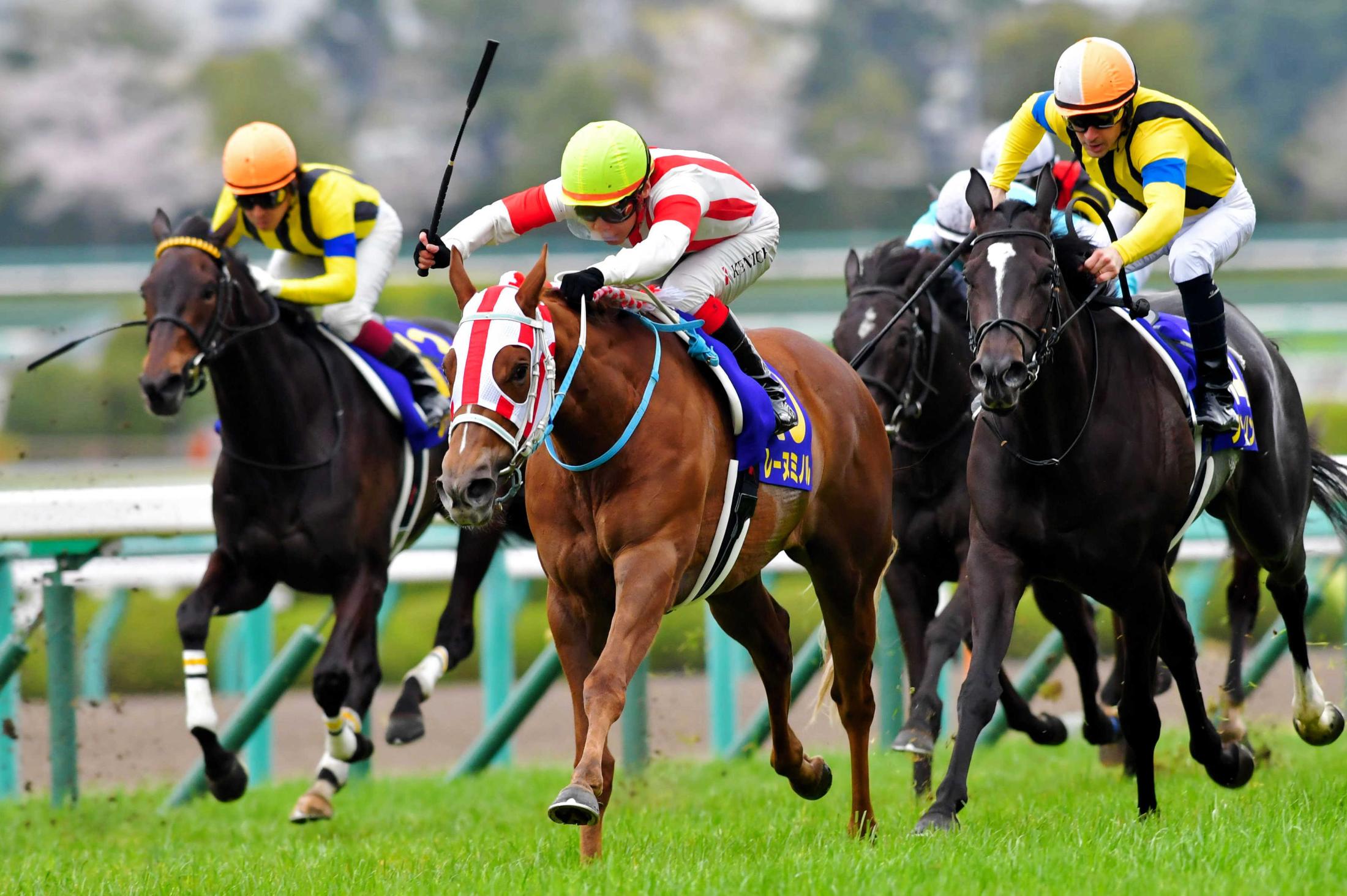 【桜花賞プレイバック４】ぬかるんだ馬場もお構いなし！８番人気馬が大金星　１７年・レーヌミノル