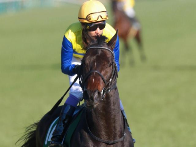 【マイラーズC】武豊騎手が29年ぶり3勝目へ エアロロノアで参戦
