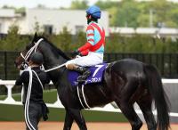  ��ŷ�ľޡ��աۥǥ����ץܥ�ɤޤ��ޤ�2��ǻ����ܤ���ľ�ʤ餺������ε�󵳼���ϤϽФ������ޤ��ޤ����ޤ���