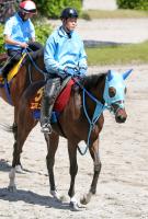  �ڥ��������ۥե�C�ƼԤΥ��ߥ塼�ϥ����ȥ������ǵ��罽ʬ��������Ĵ���ա��ΤλȤ������ɤ��ä���