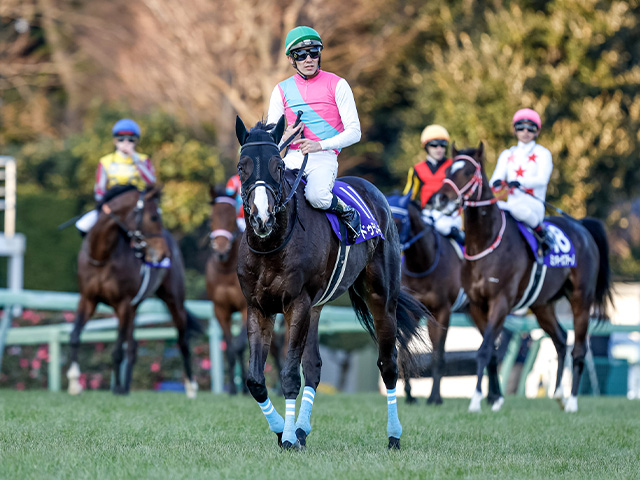 日本ダービー2023の注目馬情報まとめ / 東京優駿2023 | 競馬まとめ - netkeiba