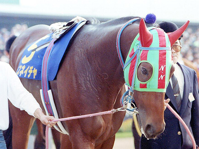 ナイスネイチャの関連情報まとめ 2023年5月30日に35歳で大往生 有馬