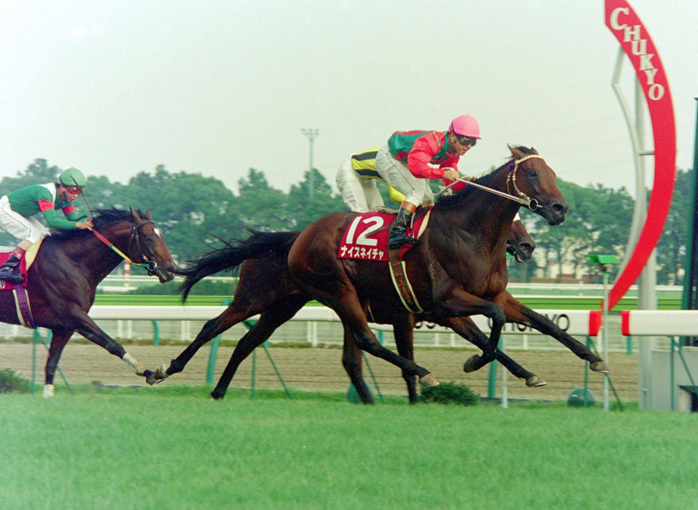 ナイスネイチャ逝く　３５歳大往生　有馬３年連続３着の個性派