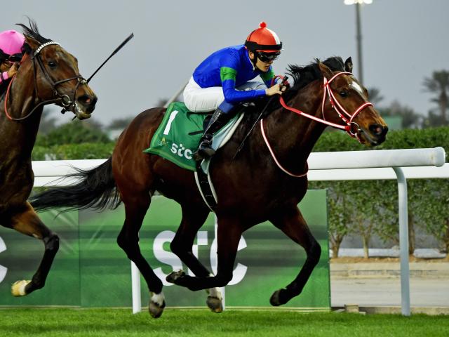 【浦和・さきたま杯注目馬】10頭中7頭が重賞ウイナー 豪華メンバー集った上半期のダート短距離王決定戦