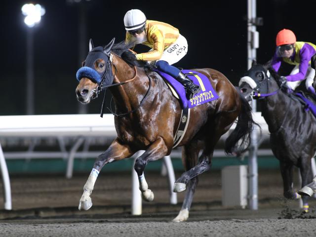 【北海道SC注目馬】JBCスプリント覇者ダンシングプリンスが連覇狙う