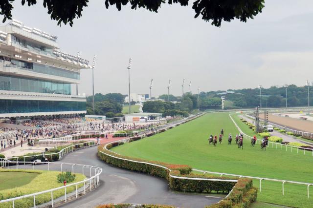 シンガポール競馬が2024年10月で廃止へ…同国の国際G1レースでコスモバルクやシャドウゲイトが優勝