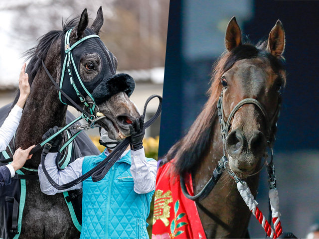 【関東オークス注目馬】過去20年で17勝の中央馬 vs 二冠に挑む地方馬