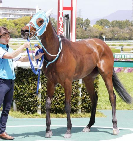【関東オークス】牡馬相手に好走したメイショウオーロラ　課題は「長距離輸送やナイター」…出走馬全頭談話