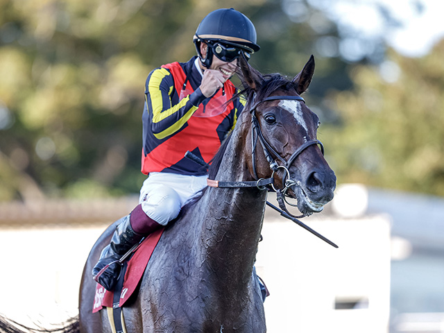 印象のデザイン ［競馬］リバティアイランド（阪神ジュベナイル