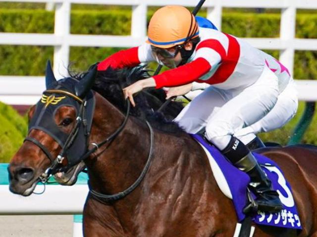 最安値挑戦】 競馬 G1 セリフォス コート - gasiweb.com.br