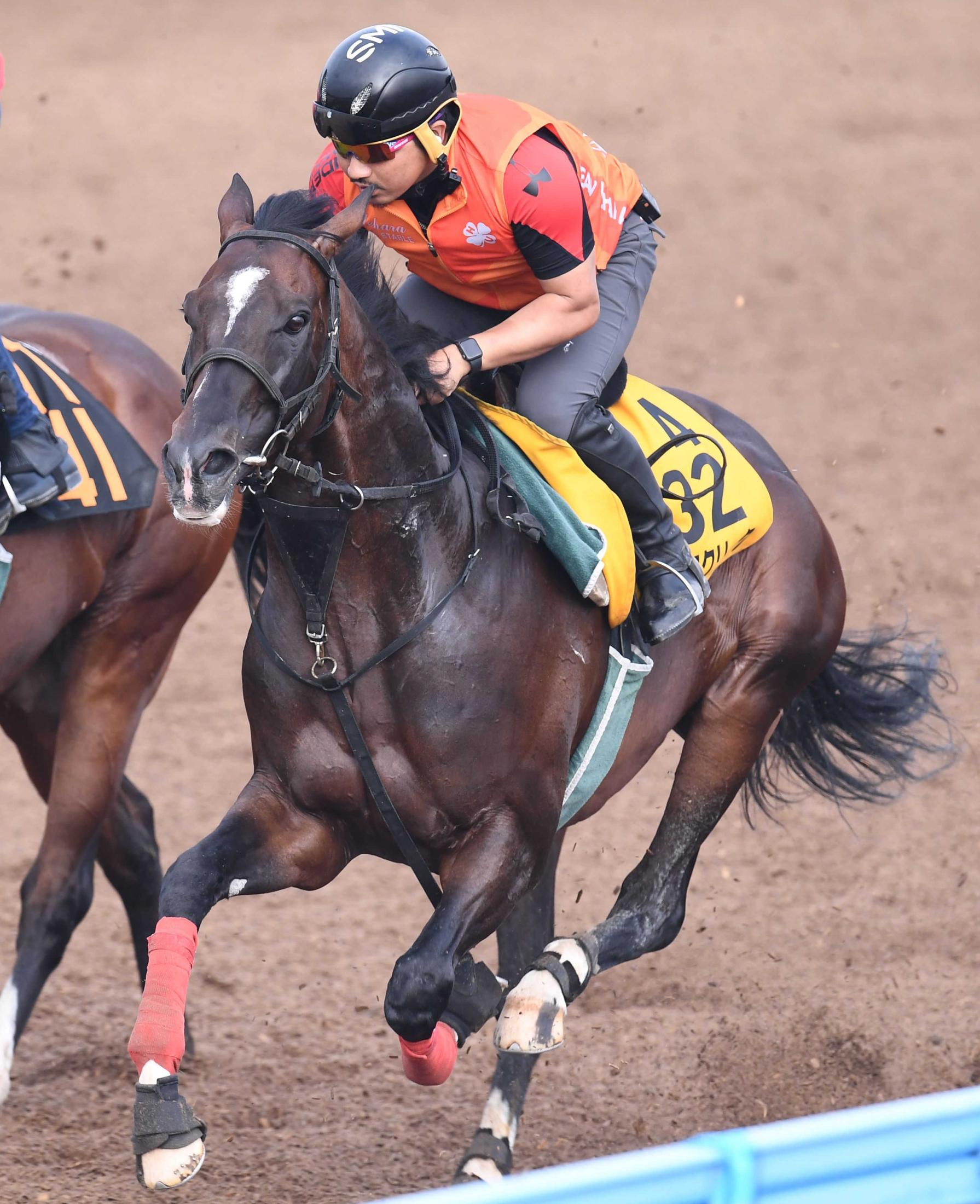 スプリングステークス2023枠順】セブンマジシャン、べラジオオペラ