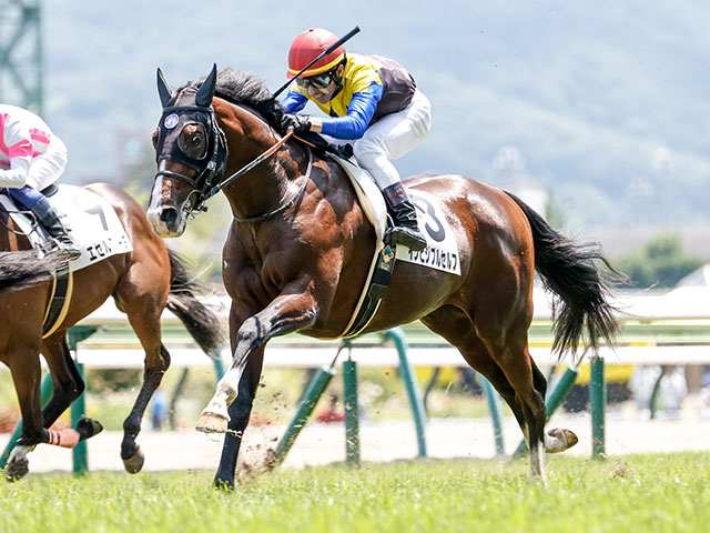 最高の品質の 現地購入的中単勝馬券【2歳新馬戦（デビュー戦/初勝利