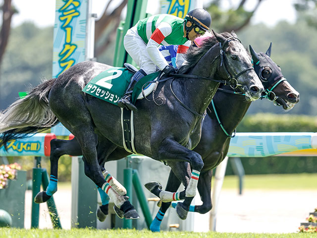 【新潟JS結果】サクセッションが差し切って重賞初制覇！