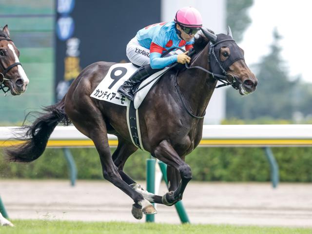 イクイノックス メイクデビュー新潟 2歳新馬戦 2021年8月28日