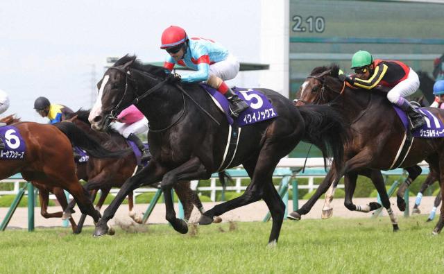 ゴールデンシックスティまとめ 香港最強馬『金鎗六十』 史上2頭目の4