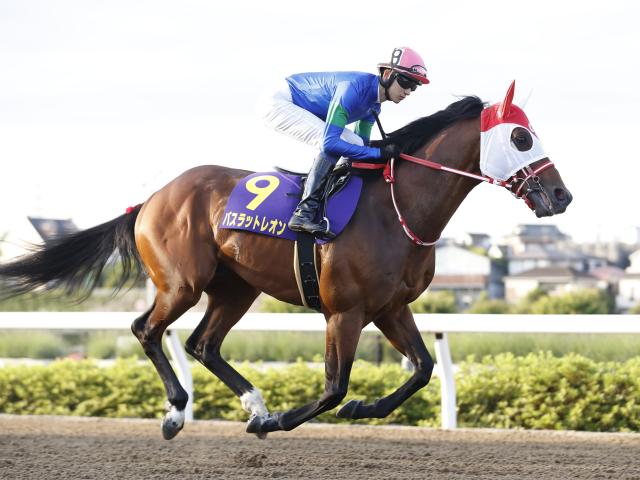 コリアカップ歴代日本馬出走・成績一覧 | 競馬まとめ - netkeiba