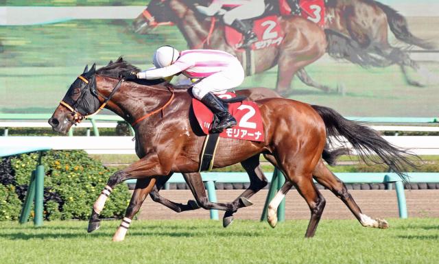 細江純子騎手 1996年初勝利現地単勝馬券-