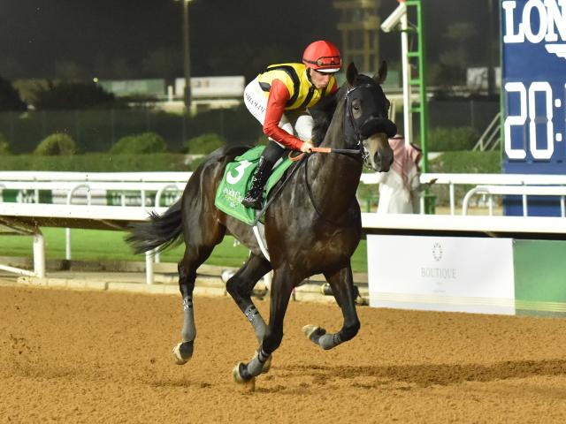 愛用 重賞勝ち馬 GI馬コリアカップ優勝 ロンドンタウン 特別レース 