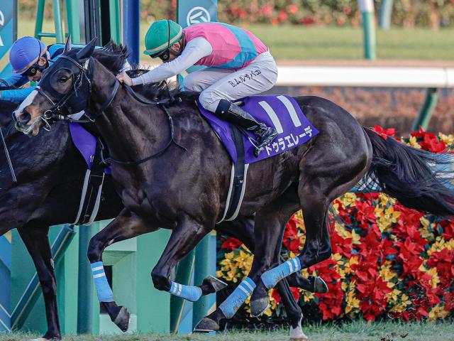 競馬 ゴドルフィン セットアップ-